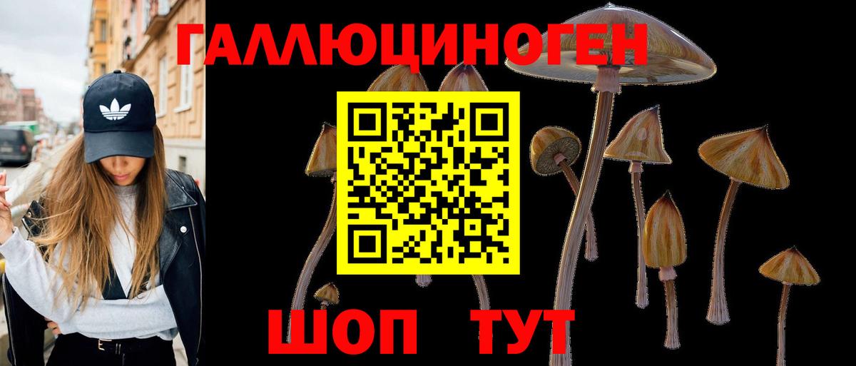 Галлюциногенные грибы мицелий  Галлюциногенные грибы Psilocybine cubensis  Вход с VPN  Павловский Посад 